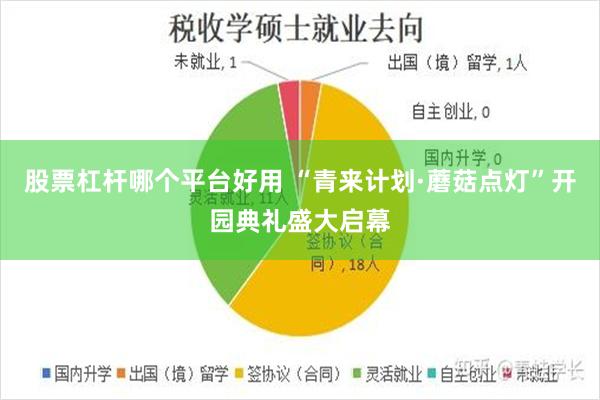 股票杠杆哪个平台好用 “青来计划·蘑菇点灯”开园典礼盛大启幕