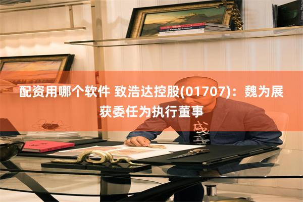 配资用哪个软件 致浩达控股(01707)：魏为展获委任为执行董事