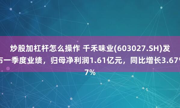 炒股加杠杆怎么操作 千禾味业(603027.SH)发布一季度业绩，归母净利润1.61亿元，同比增长3.67%
