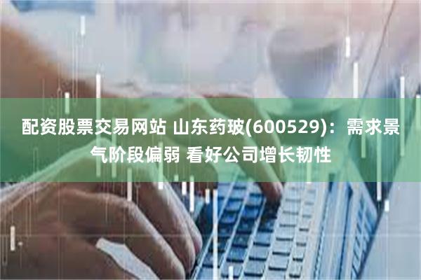 配资股票交易网站 山东药玻(600529)：需求景气阶段偏弱 看好公司增长韧性
