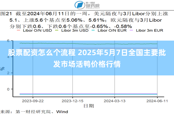 股票配资怎么个流程 2025年5月7日全国主要批发市场活鸭价格行情