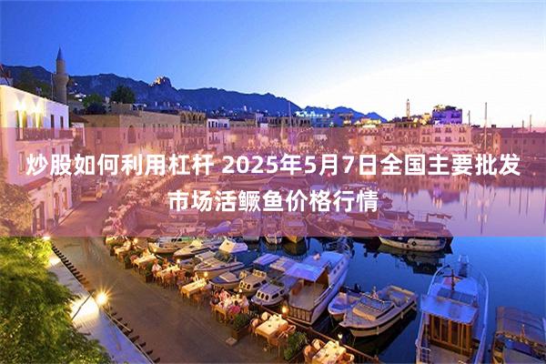 炒股如何利用杠杆 2025年5月7日全国主要批发市场活鳜鱼价格行情