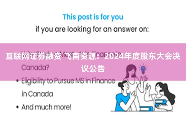 互联网证劵融资 飞南资源：2024年度股东大会决议公告