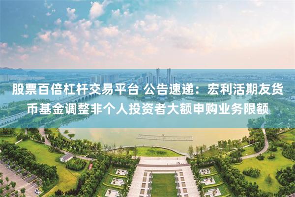股票百倍杠杆交易平台 公告速递：宏利活期友货币基金调整非个人投资者大额申购业务限额