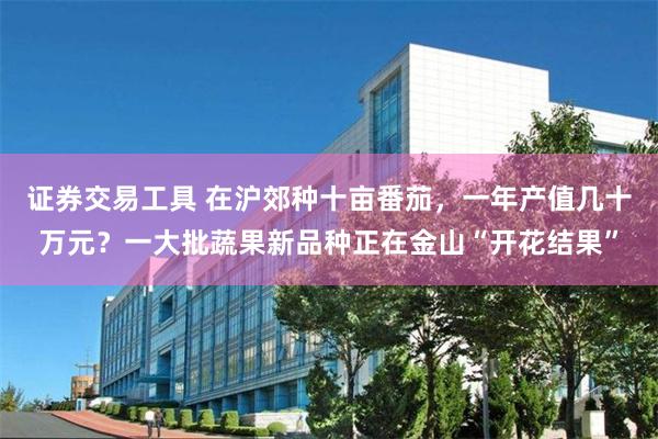 证券交易工具 在沪郊种十亩番茄，一年产值几十万元？一大批蔬果新品种正在金山“开花结果”
